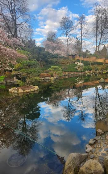 Spring flowering trees at Kaiserslautern’s Japanese Garden