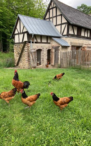 The Hessenpark offers a glimpse into rural life in Germany back in time.