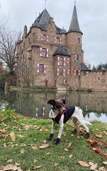 Slim Jim at Burg Satzvey for the Christmas market