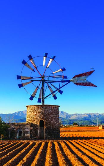 A traditional Mallorcan windmill rises above a sun-drenched, freshly plowed field, set against a backdrop of rolling mountains and a vivid blue sky. The stone base and colorful wind blades showcase the island’s rustic charm and cultural heritage.