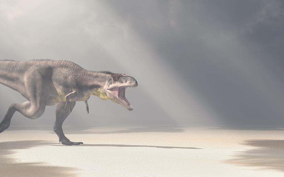 Tyrannotitan running on the ground with the light shining on it