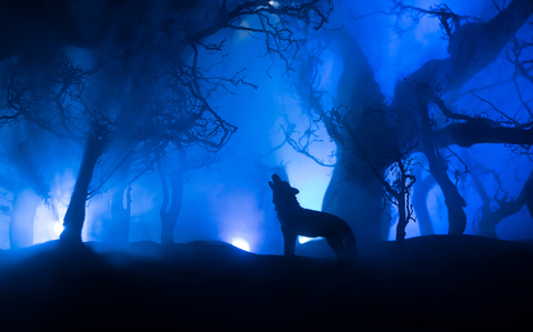 Photo Of Wolf silhouette stading in a forest silhouette with a bright blue background and a full moon.