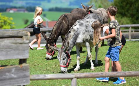 Photo Of People and horses at Gut Aiderbichl  in Salzburg, Austria