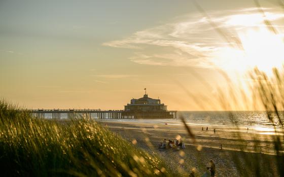 the beach illuminated in the golden hour 