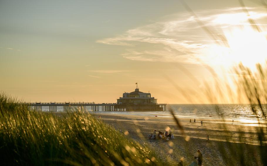 the beach illuminated in the golden hour 