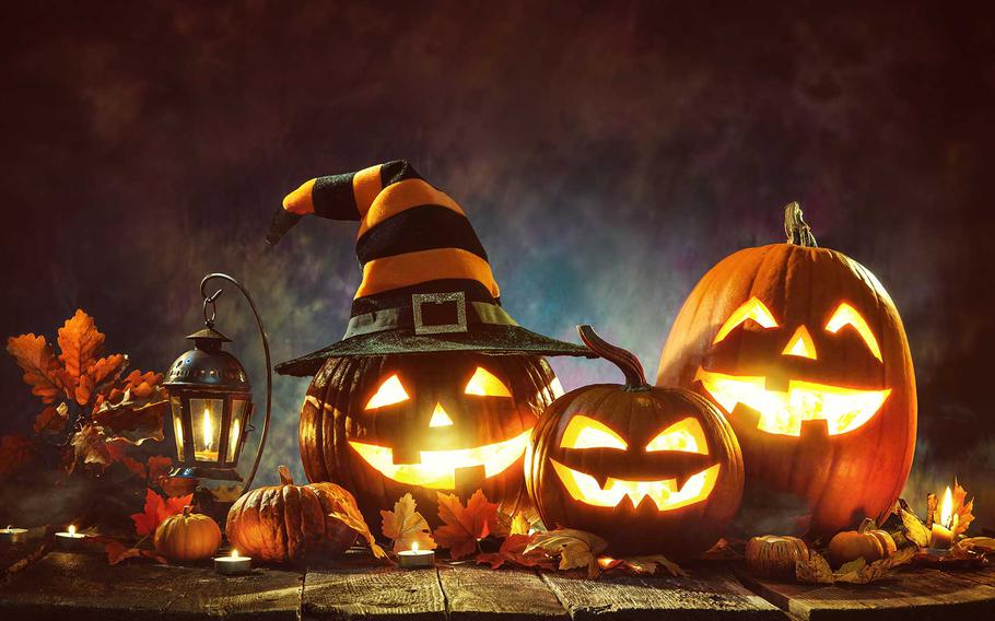 Light up your Halloween with glowing jack-o’-lanterns and festive pumpkin decorations!