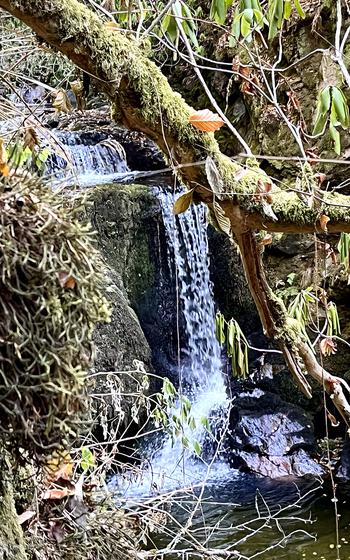 a waterfall trickels down the side of a mossy landscape