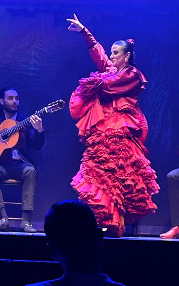 Flamenco dancer in a pink dress lit up on stage with a guitar player sitting behind her