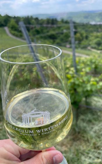 Writer holding up glass of white wine against the backdrop of the grassy grape vines