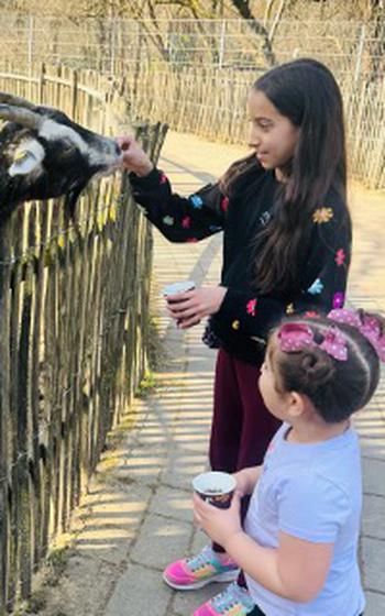 Two girls feeding a goat