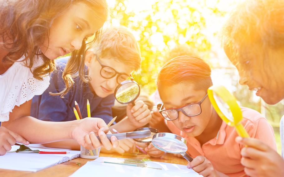 Children as little researchers and explorers look at a leaf with a magnifying glass