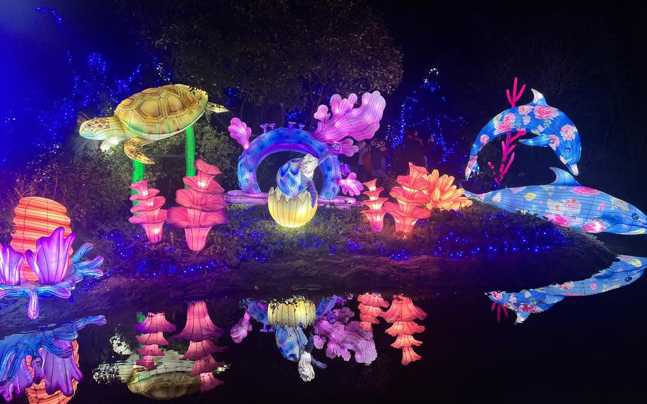 multi-colored lanterns shaped like undersea animals and plants, at night.