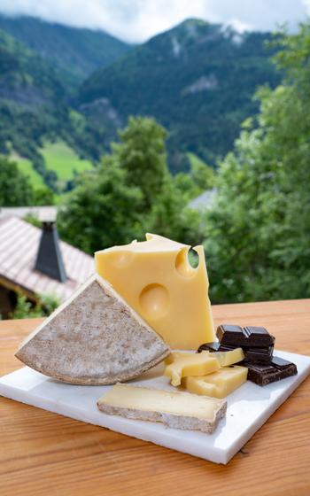 Swiss cow cheese emmental, tomme and dark chocolate and mountains village in green Alps