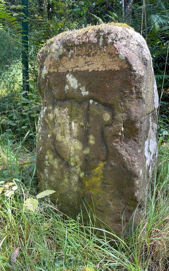 A stone boundary marker in the forest.