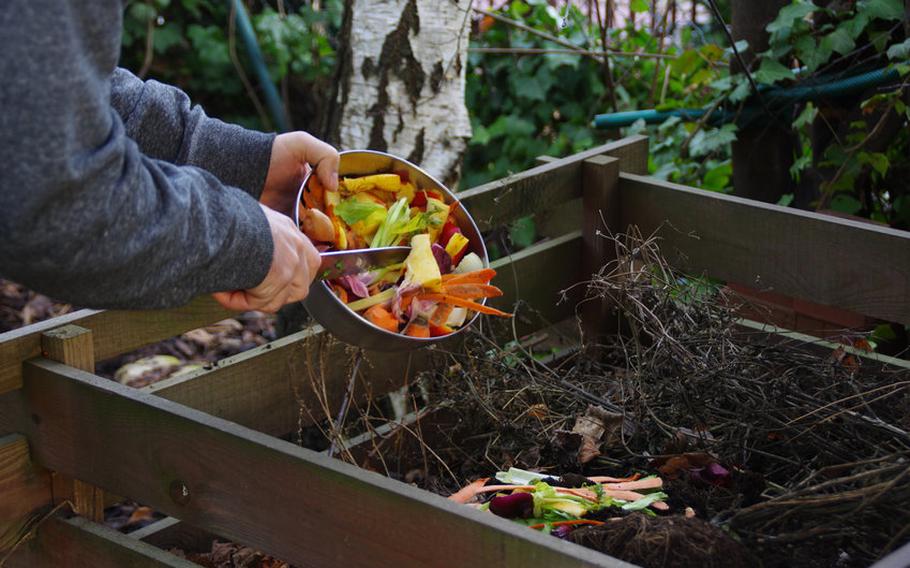 Dumping food waste into compost bin