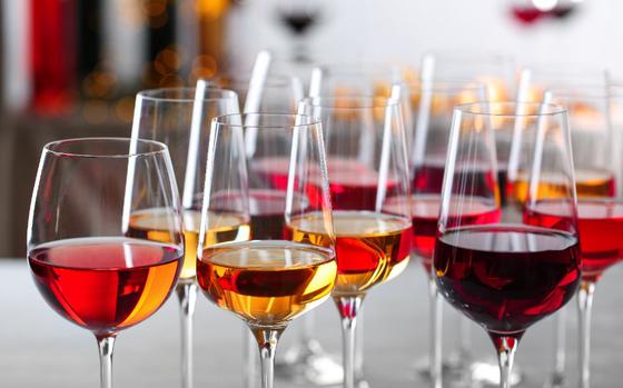 Different wines in glasses