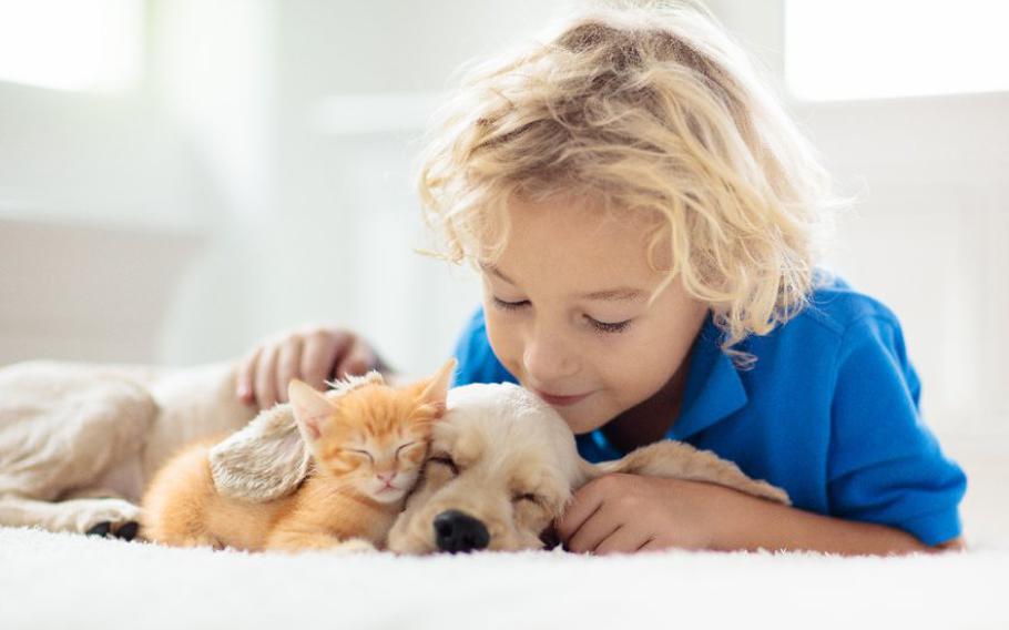 Kid with puppy and cat