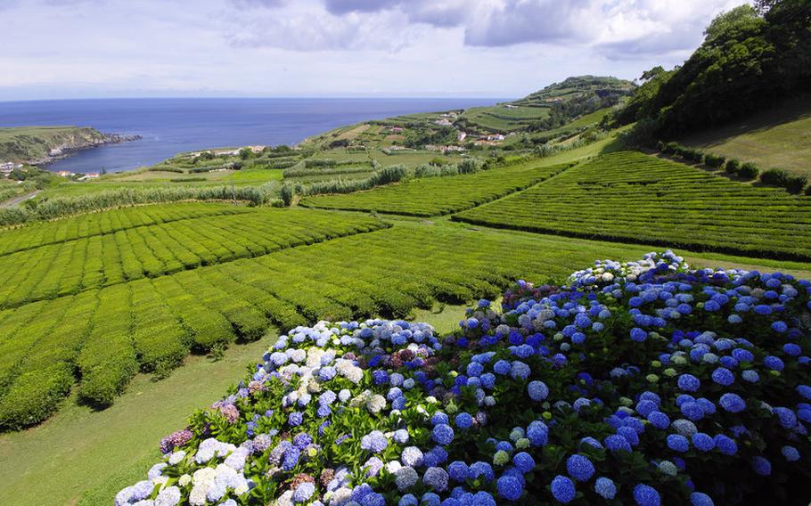 the Azores