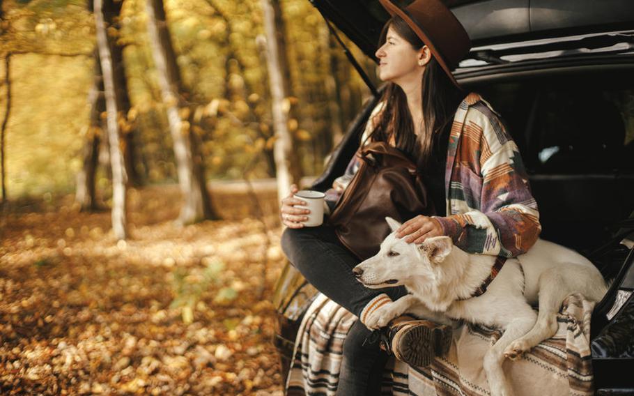 Woman and dog sitting in back of car