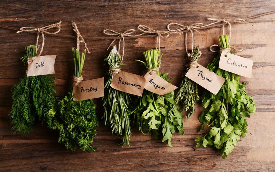 Various herbs.