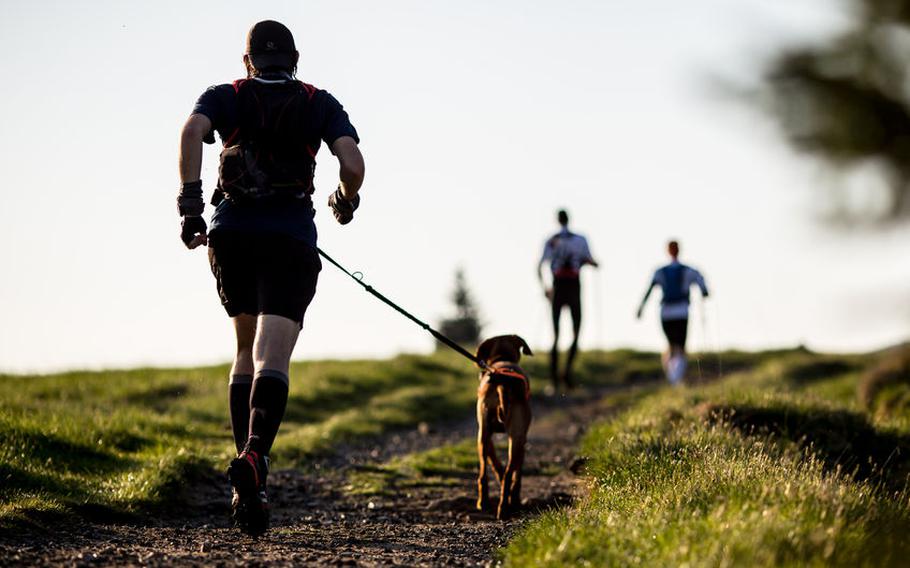 Person hiking with dog