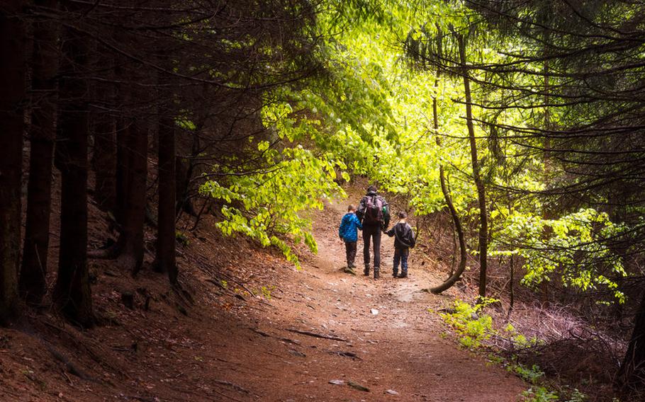 Adult walking with two children in forest