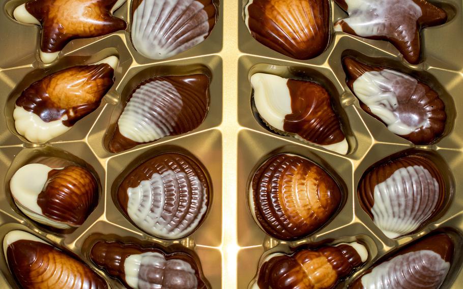 Belgium chocolate shaped like seashells