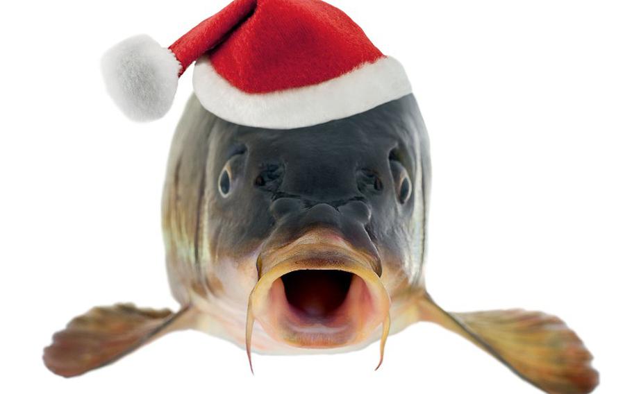 Carp in Santa hat