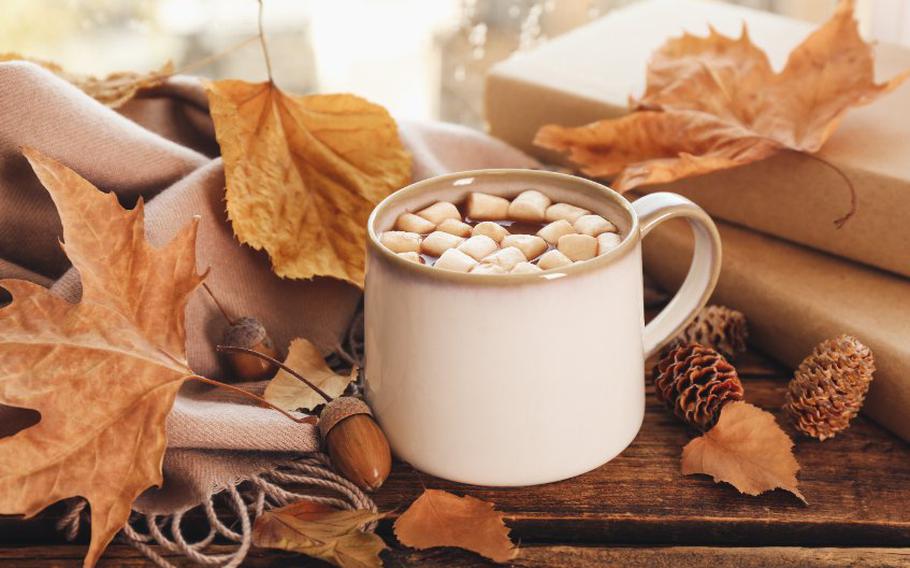 Cup of hot drink with marshmallows, books and autumn leaves.