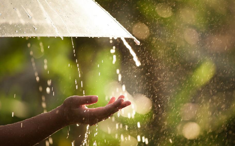 Hand with umbrella in the rain.