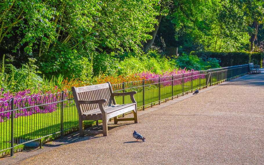 Empty bench in Kensington Park