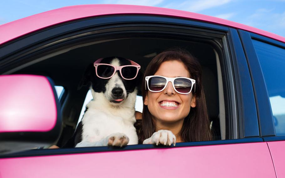 Woman with dog in car