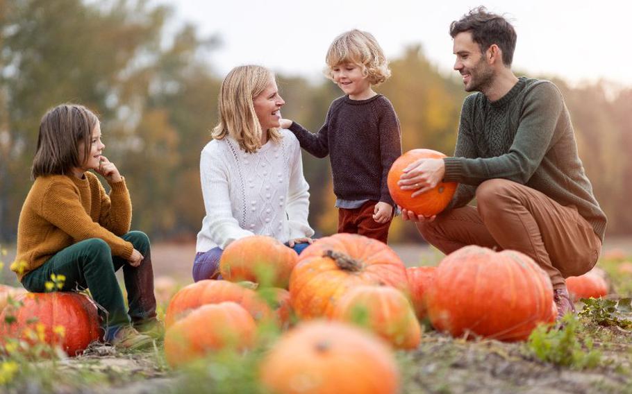 Parents with children sitting with pumpkins