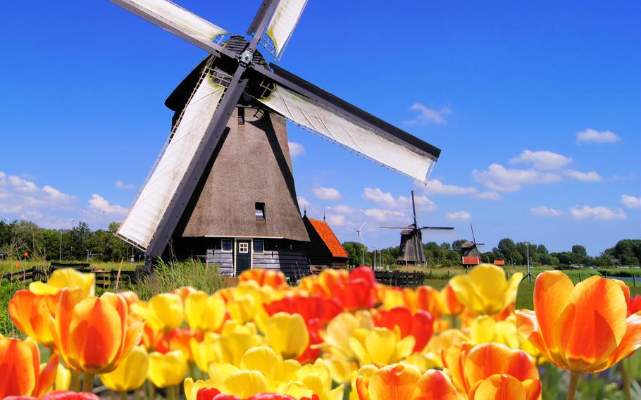 Keukenhof Holland