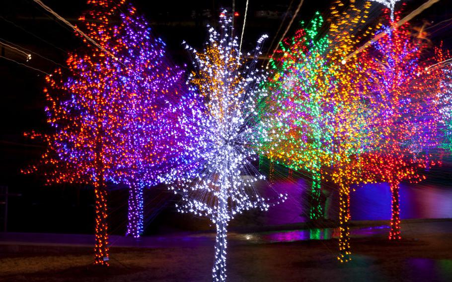 Lit up trees