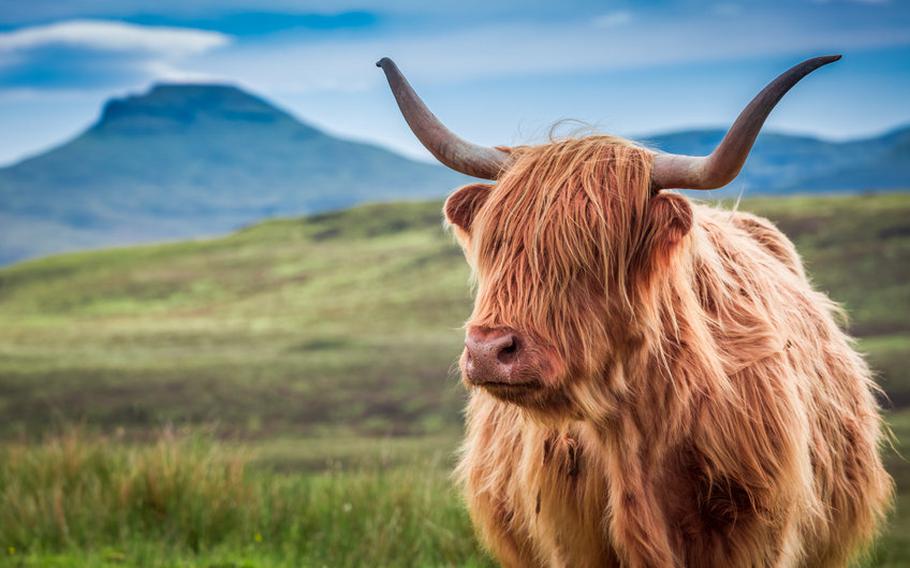 Scottish Highlands