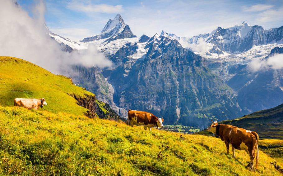 Grindelwald, Switzerland