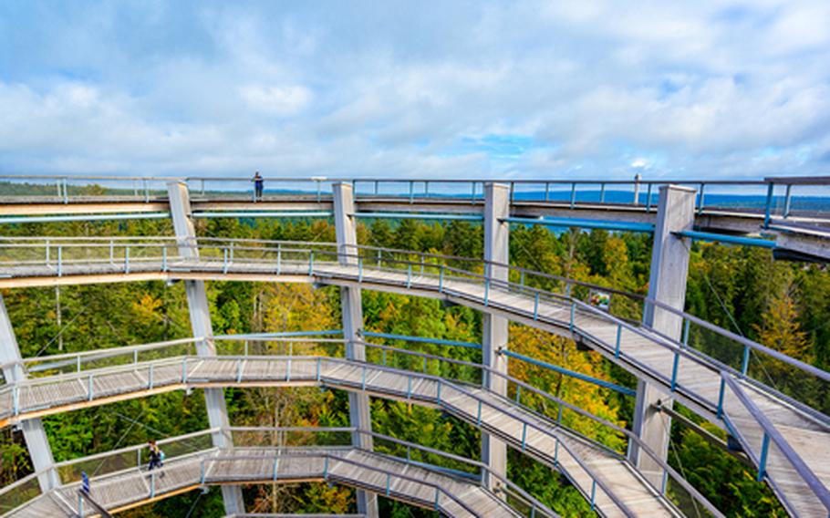 Treetop walk