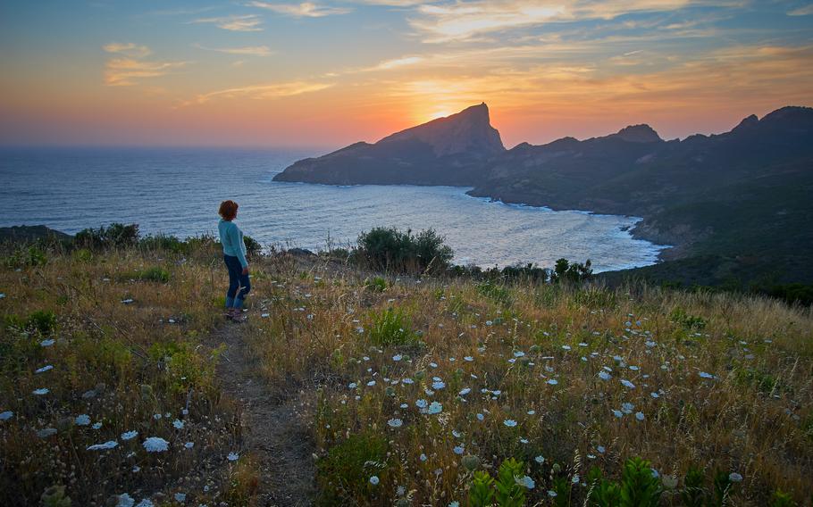 A trail in Corsica | Photo by Vidar Nordli-Mathisen on Unsplash