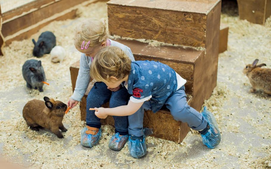 Boy and girl playing with rabbits