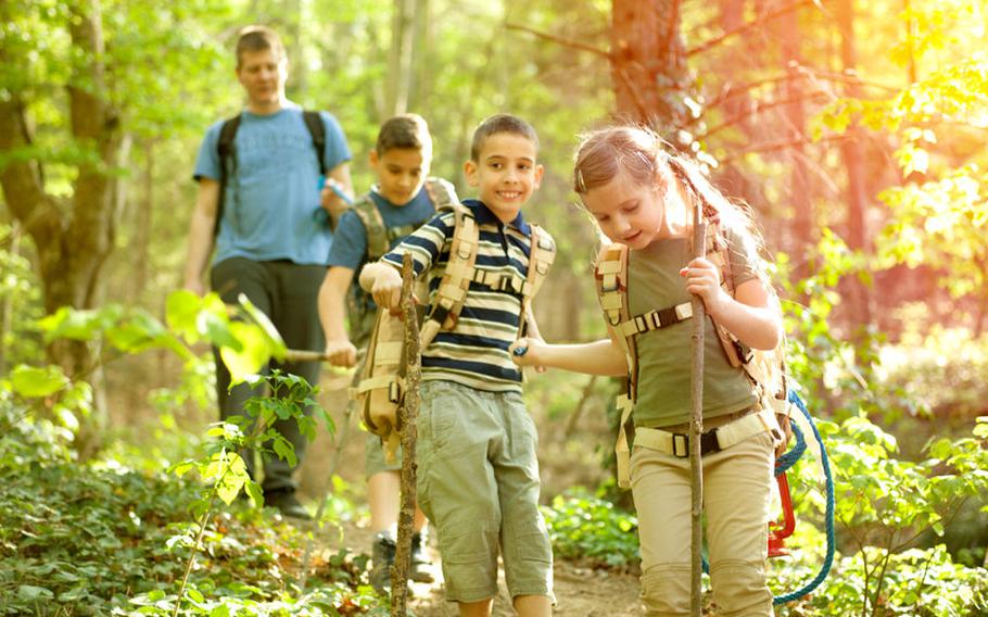 Kids hiking in forest