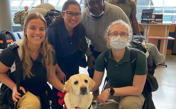 Penny the yellow lab, visiting with a group of people at PAX Terminal 