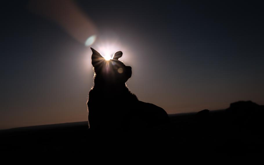 Photo by Patrick Hendry via Unsplash